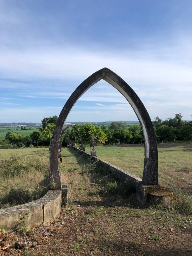 C9D01A5F ACAA 438C 87A5 CB1E3649748B 768x1024