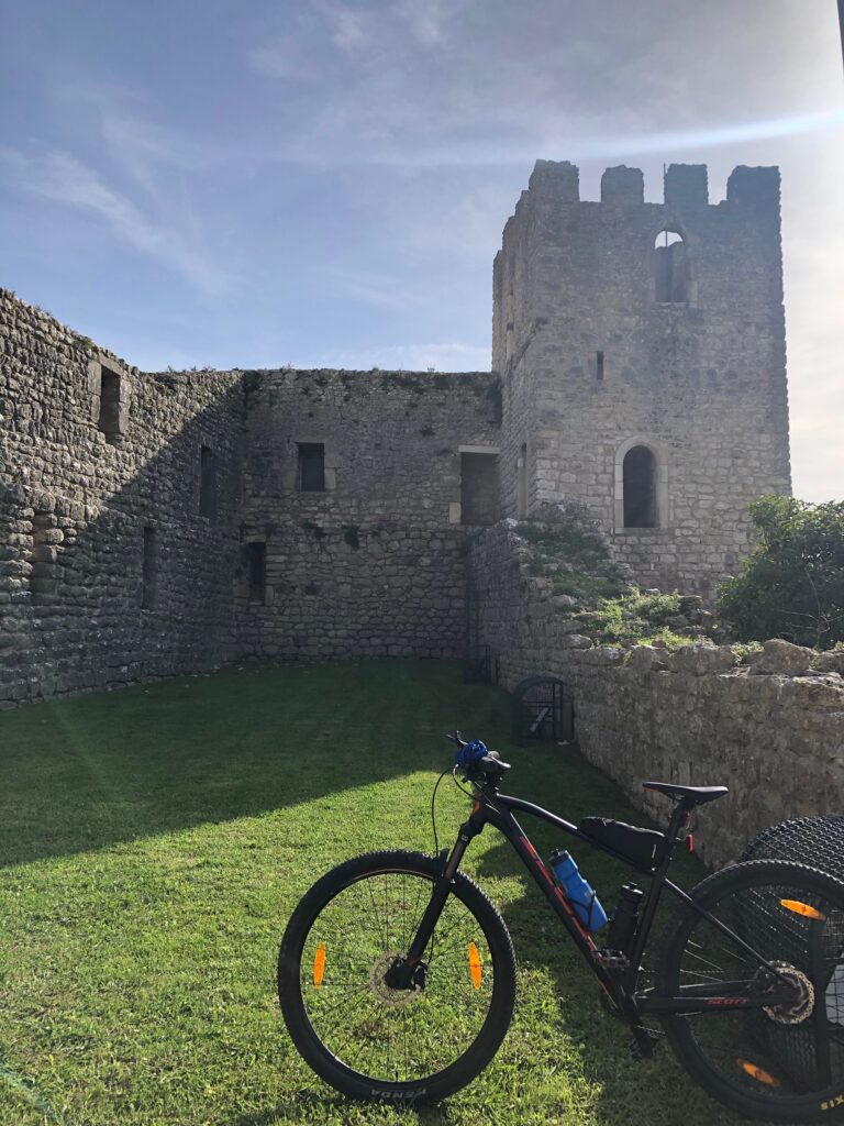 CC0D37D2 32B7 4D32 9D2F E5F0C86F18EB 768x1024