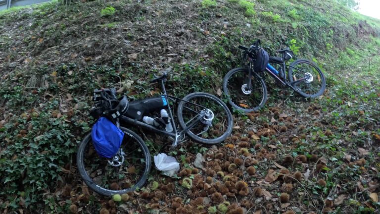 Chestnuts of the Mondego Valley 768x432