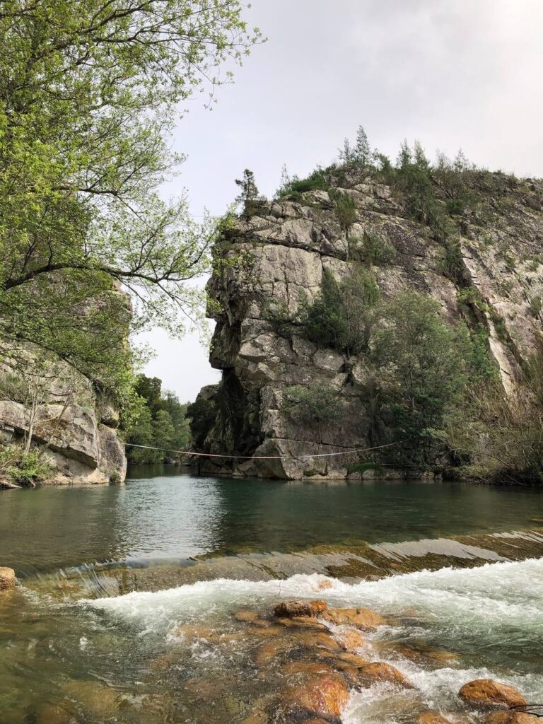 D0D7C79A 4DAA 46D6 AE48 AD6BD859C44D 768x1024