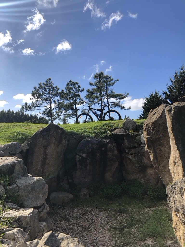 D1064687 7FD4 470B BF59 881A5B212F2B 1 105 c