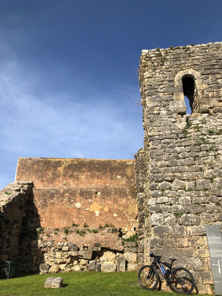 D45CF520 C5FF 4683 93DE 9F8CD068C27B 768x1024