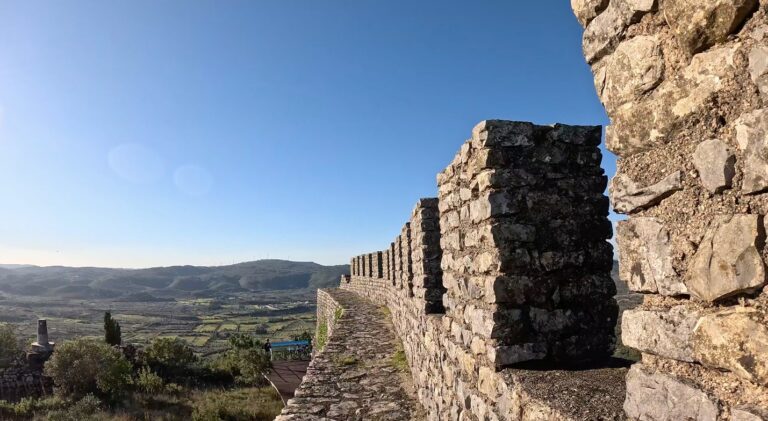 D7D6A40D DA3E 4498 853D 06EC1EF0EF46 768x421