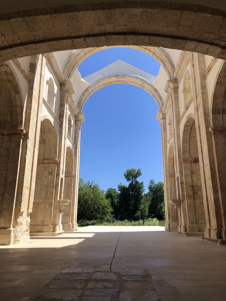 DB988E03 E3C0 458B 84FF 6D1A22A05DB7 1 105 c