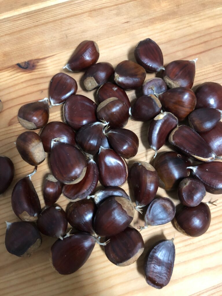 E0AE2820 AECE 4034 B1F9 2D11E3DC0CA8 768x1024