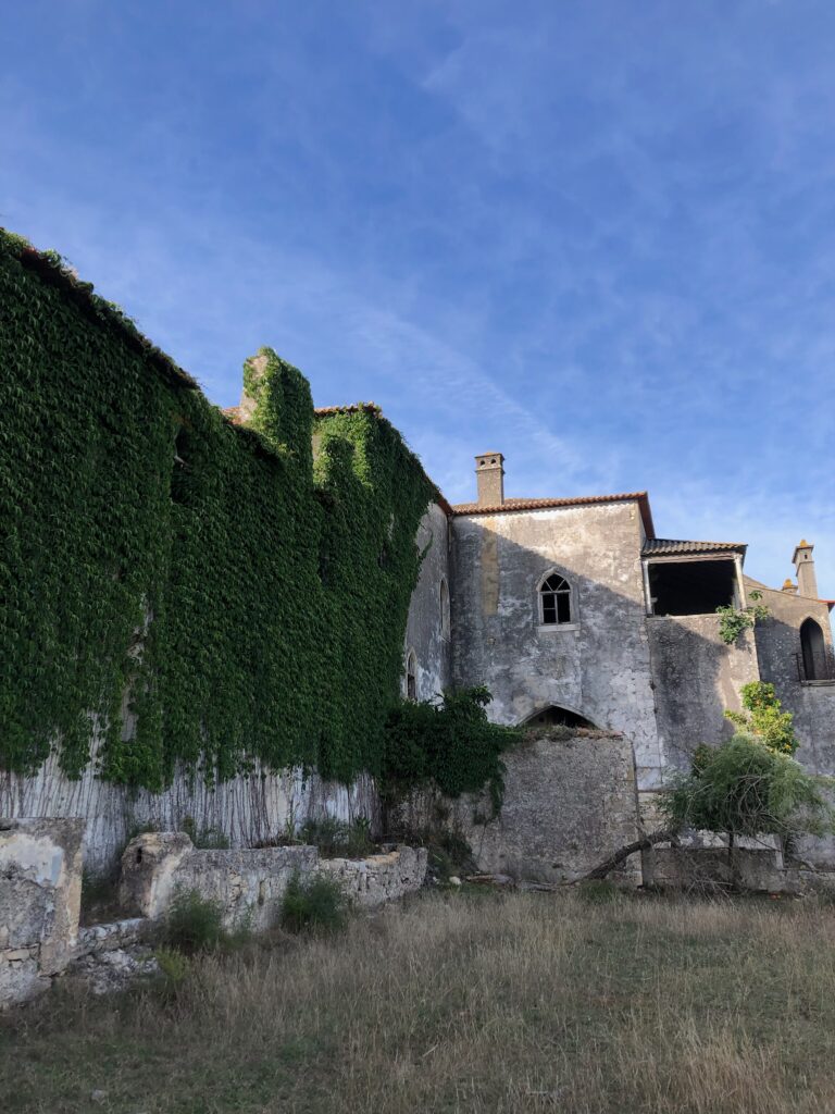 E1F00647 95C7 440F 9358 A2BA5FF65B26 768x1024