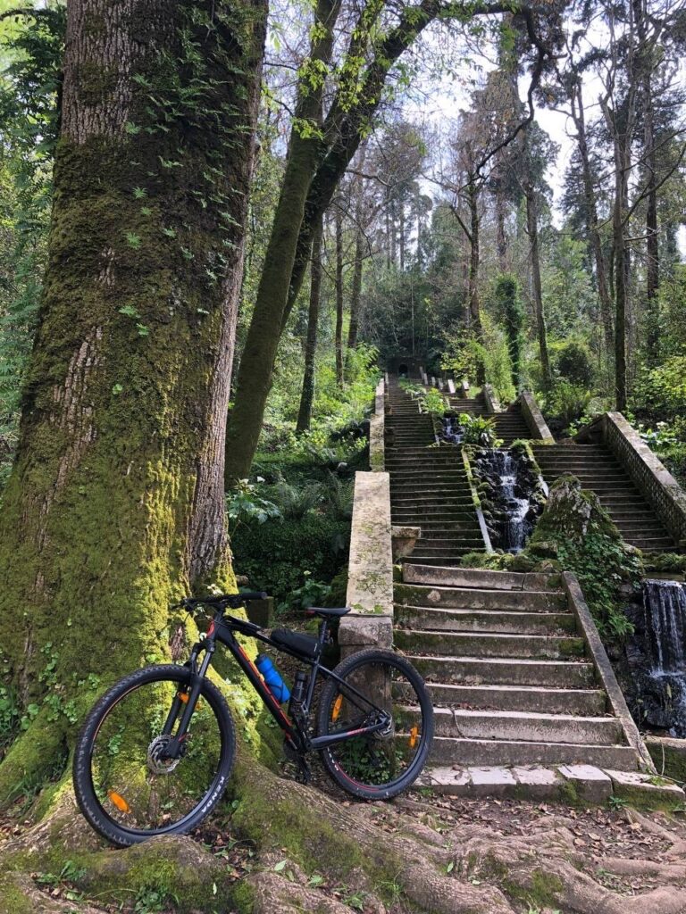 E4363873 5E44 4F87 AE09 BA9371F7DE18 768x1024