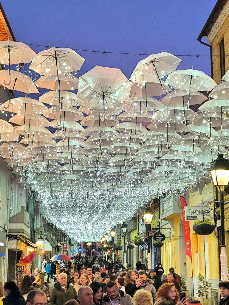 EA1E9C3C DEB2 46DB 81FA 83B19BD840E4 768x1024