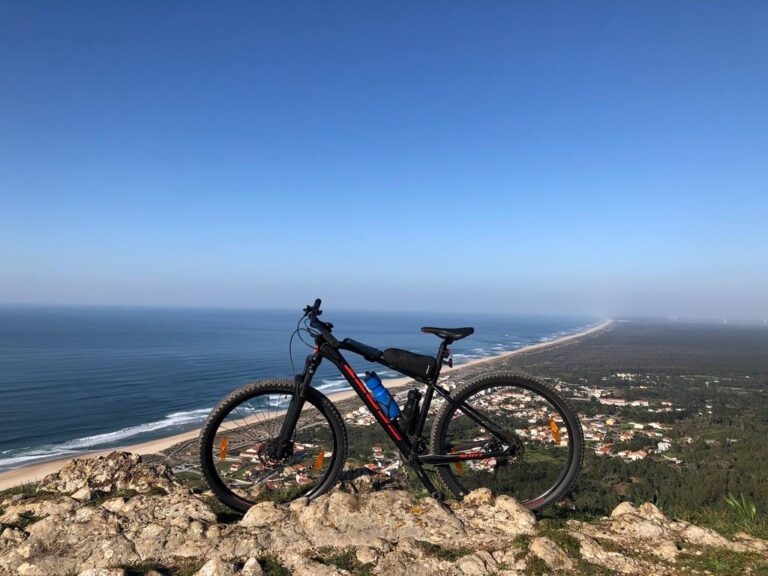 F09659AB 87ED 4B30 B91D 54AD56379CD4 1 105 c 768x576