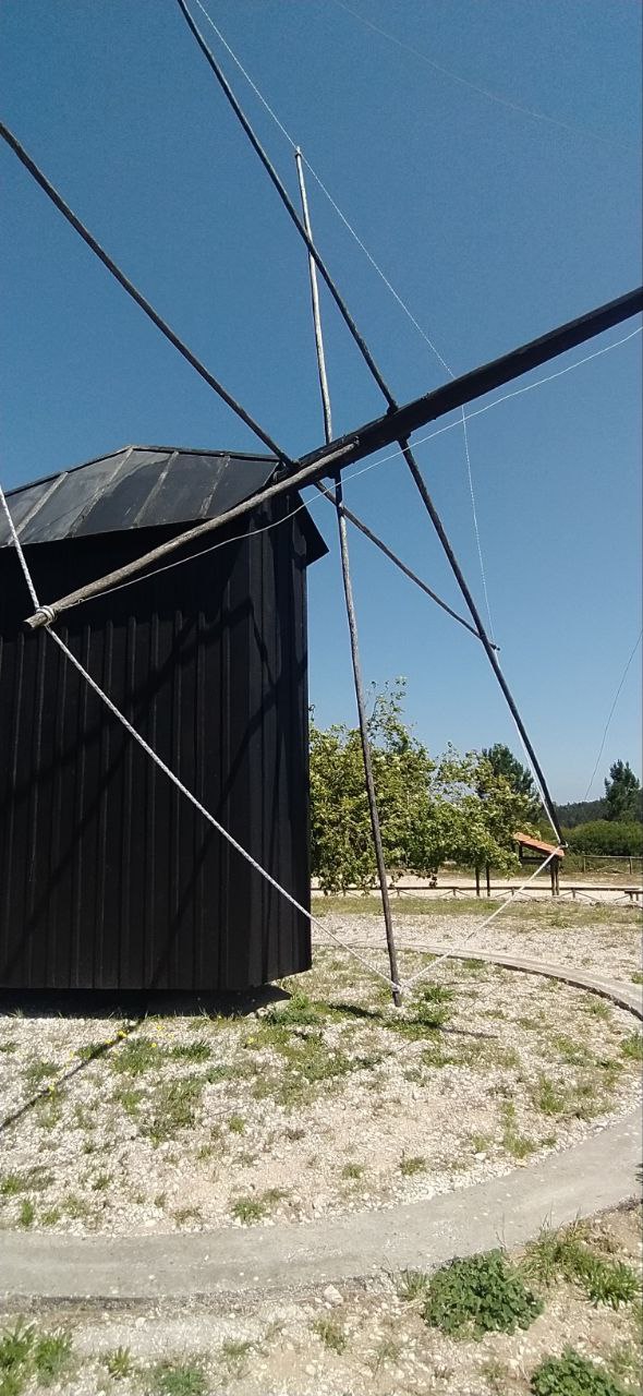 F28E5D1D AEA2 41D7 A458 1B66FC81908C