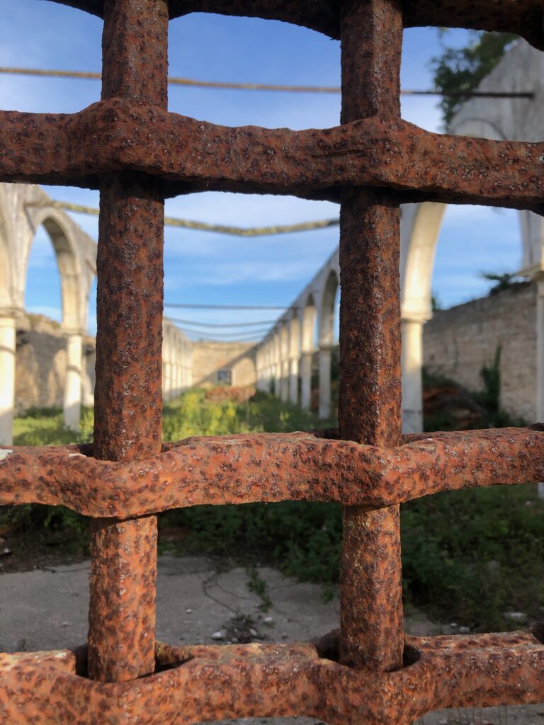 F39D1DCF A5C0 44E5 A116 E8024663A118 768x1024