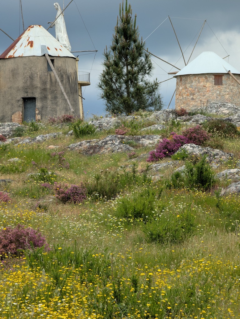 F467AB86 6C95 48C9 8B3C A7C0C4A1F805 1 105 c