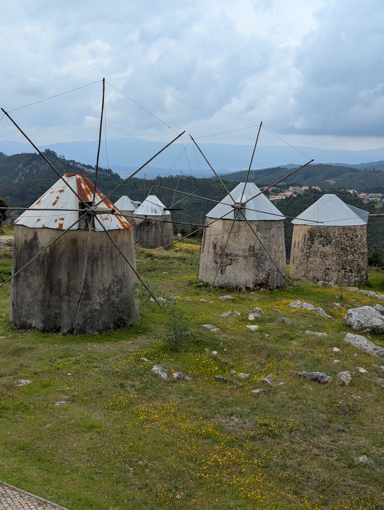 F8BBEB92 BB6D 42A4 910F 0B47241AEED2 1 105 c