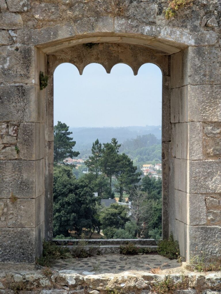 F984F297 817D 4D50 876B AF8D3FCAB0CD 768x1020