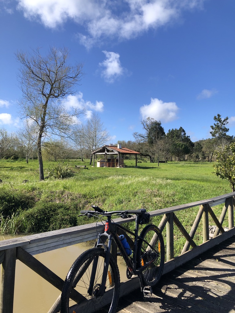 FC051A3F 6281 4756 8DD0 25EA6E172B4D 1 105 c