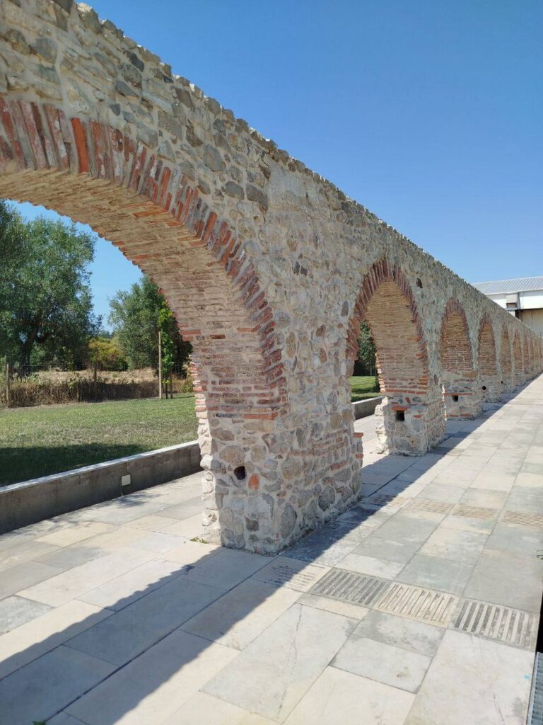 IMAGE 2026 02 10 231230 768x1024