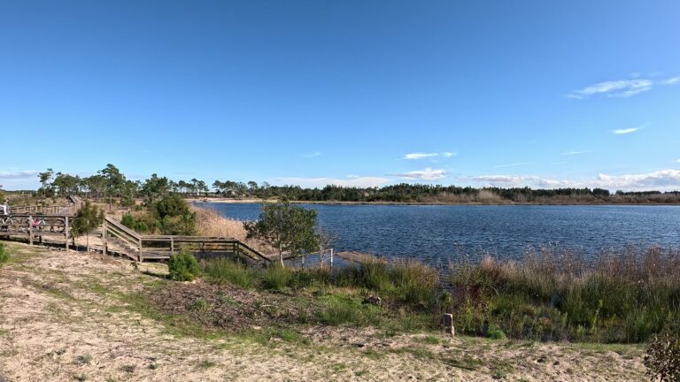 ervedeira lake 768x432