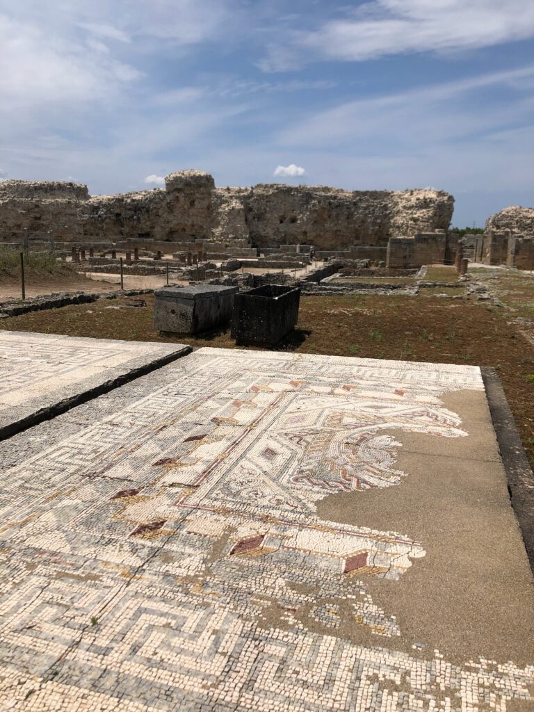 01D46B1A 4E57 47CA B1C4 EBBF3E0D24D2 768x1024