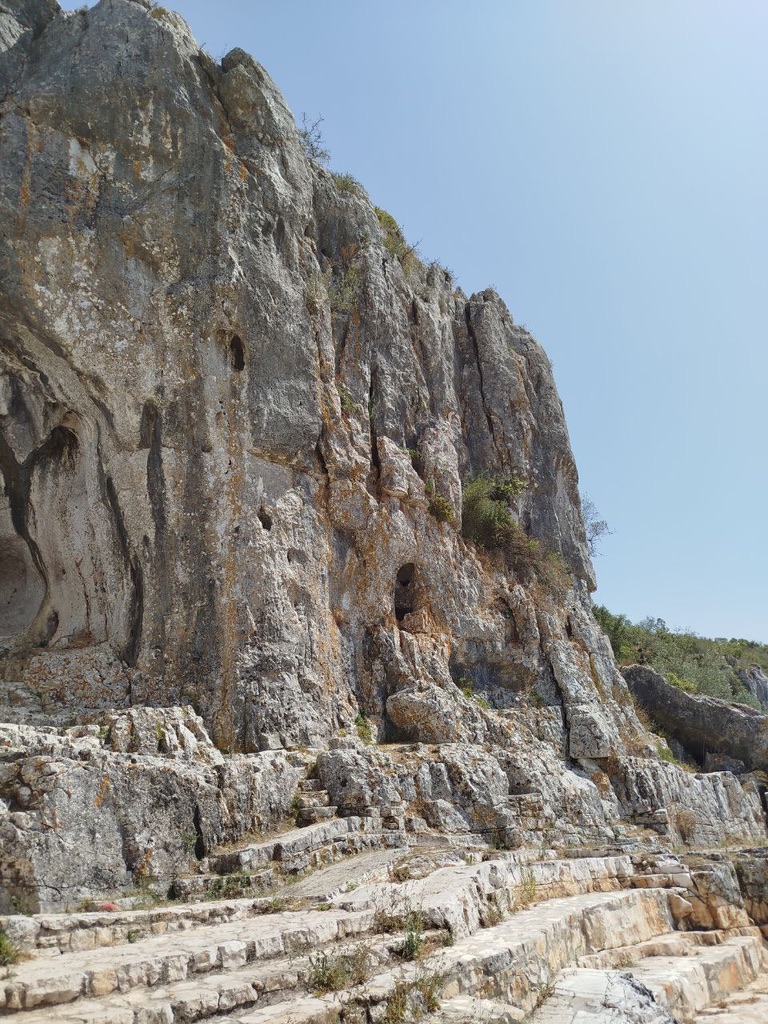 09D74B30 6E0F 4BA4 8A87 2A29E29637A1 1 105 c