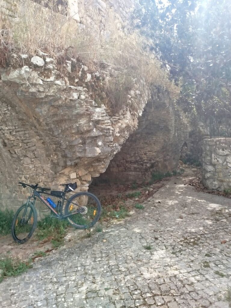 61C84348 E46E 4F00 B055 C520E4AC44EB 768x1024