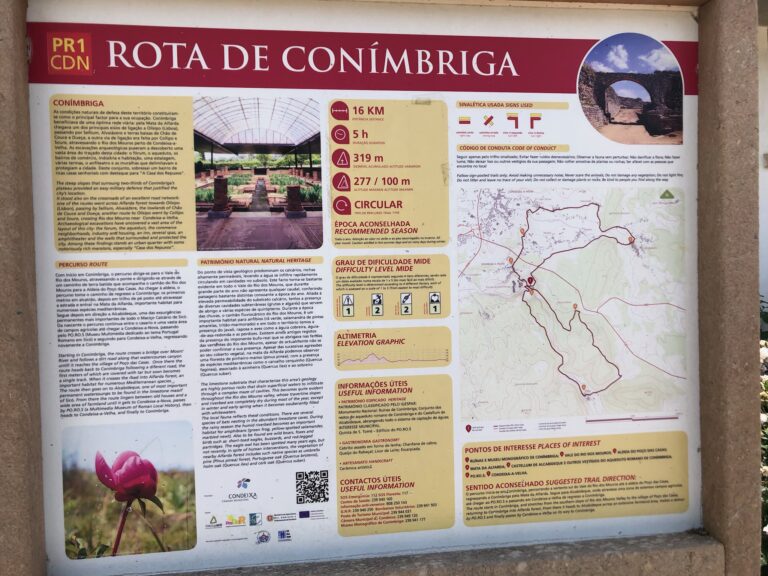 8DDBAB89 63B0 454F 905A 24C020C4B620 768x576