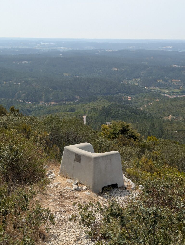 B1A86B6F B0DB 45B2 B490 FD1A05ECD7C2 1 102 o 768x1020