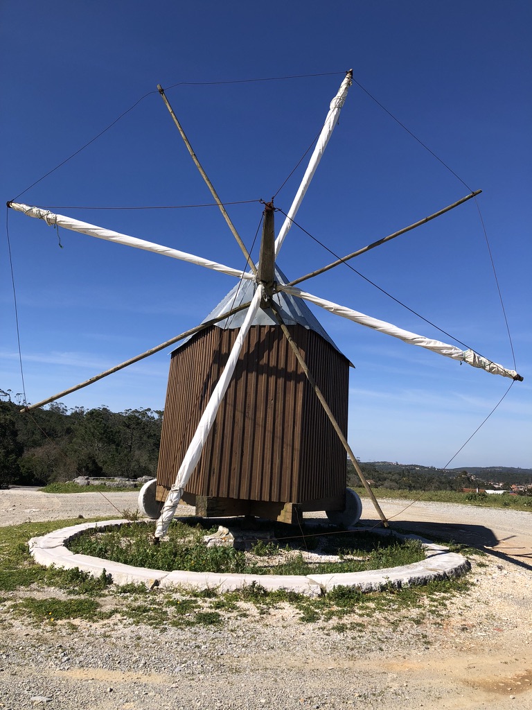 B1C28AF4 D887 4B7C B5C4 150A46915F52 1 105 c